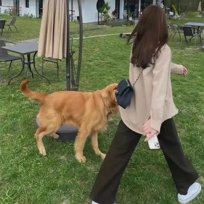 航海女神船