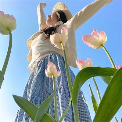 高山流水觅知音