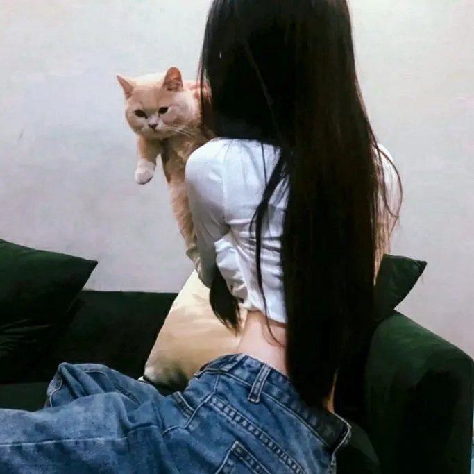 蜂蜜与四叶草第一季